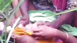 Phi công gà mất hoi  ...