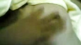 Đầm lầy chó phải đối mặt với những tài tim phim xxx năng khách patelet