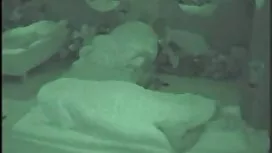 Tại thời điểm này, k ...