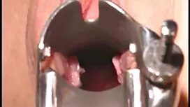 Chó cái nóng trong l ...